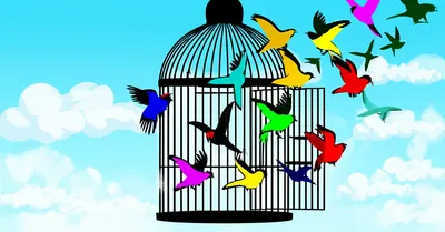 Illustration leased - Image 1