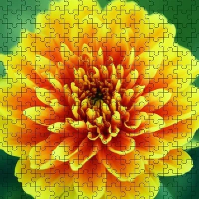 Illustration mates - Image 1