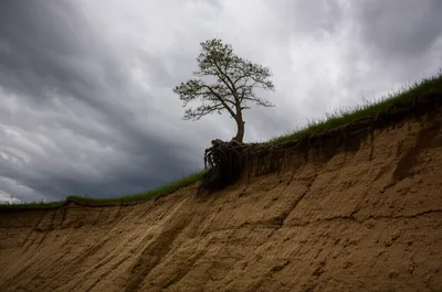 Illustration denuded - Image 1