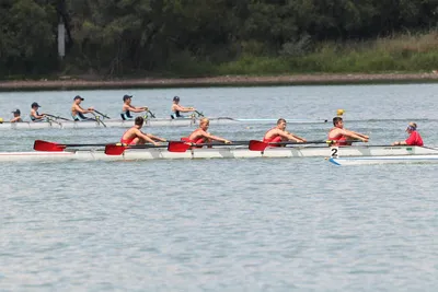 Illustration sculling - Image 2