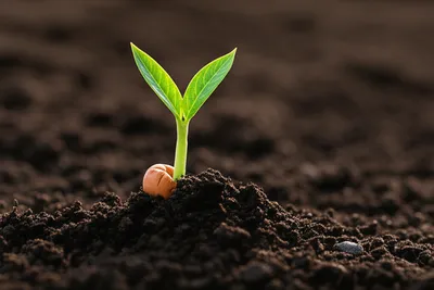 Illustration deliver - Image 1