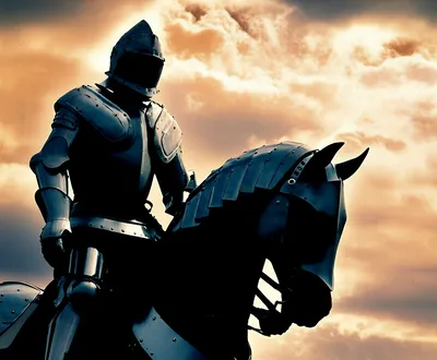 Illustration armoured - Image 1