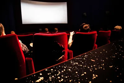 Illustration bughouse - Image 1