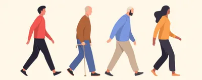 Illustration gaits - Image 1