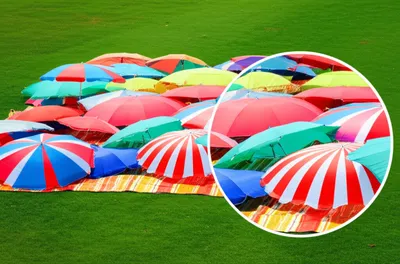 Illustration compact - Image 1