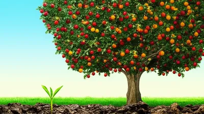 Illustration matures - Image 1