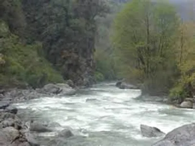 Illustration perennial - Image 3