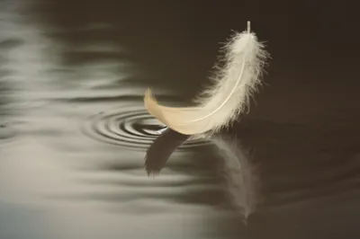 Illustration lips - Image 1