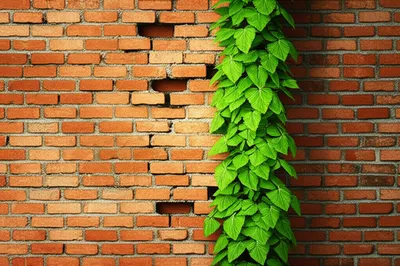 Illustration improves - Image 1