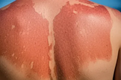 Illustration lobster - Image 1