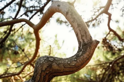 Illustration unbends - Image 1