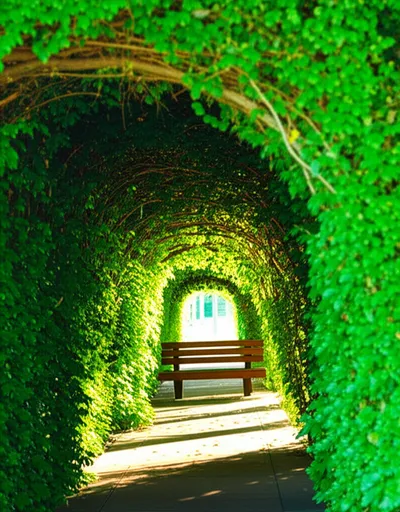 Illustration bower - Image 2