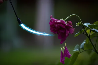 Illustration lash - Image 1