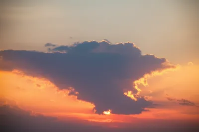 Illustration paling - Image 1