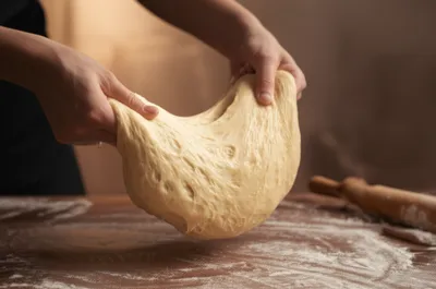 Illustration sponges - Image 1