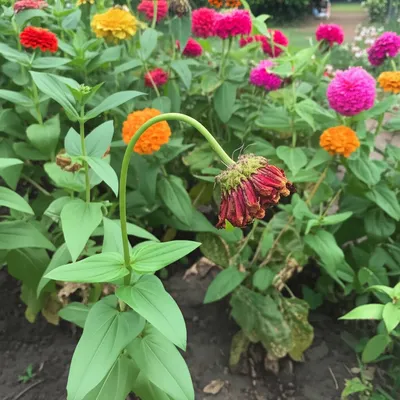 Illustration unnerve - Image 1