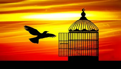 Illustration unlock - Image 1