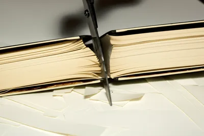 Illustration abridge - Image 1