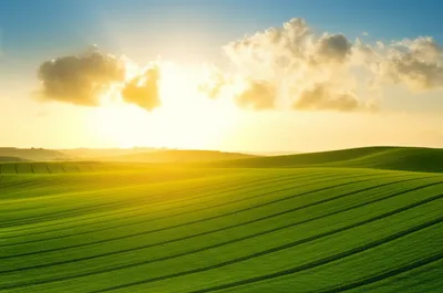 Illustration inevitable - Image 1