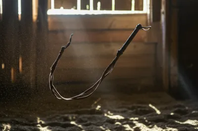 Illustration lashes - Image 1