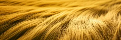 Illustration waved - Image 1