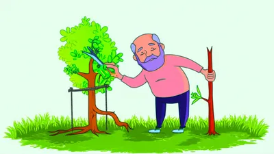 Illustration groomed - Image 1