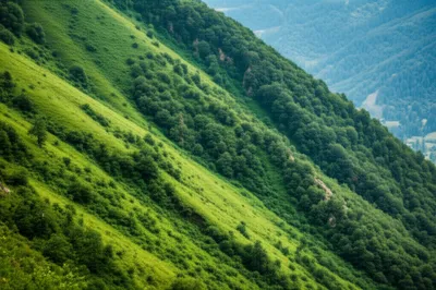 Illustration mountainside