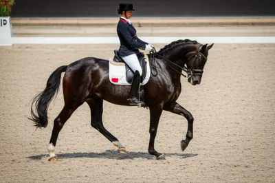 Illustration schooling - Image 1