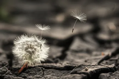 Illustration idle - Image 1