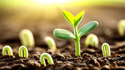 Illustration emerging - Image 1