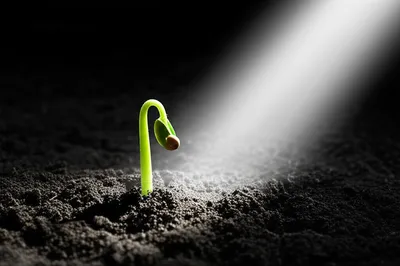 Illustration purposefully