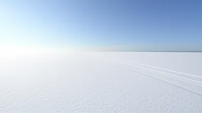 Illustration entire - Image 1