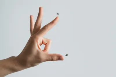 Illustration flicking - Image 1