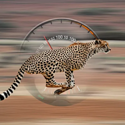 Illustration clocked - Image 1