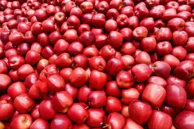 Illustration wholesale - Image 1