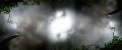 Illustration obfuscation