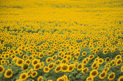 Illustration million - Image 1