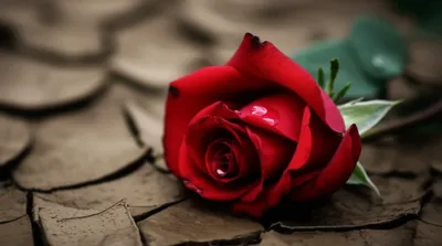 Illustration breaks - Image 1