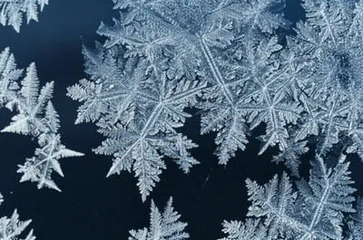 Illustration frost - Image 1