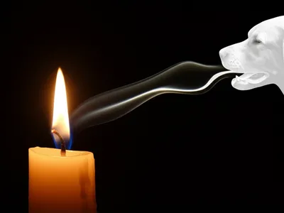 Illustration extinguishes - Image 1