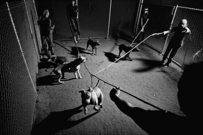 Illustration walk - Image 1