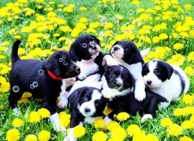 Illustration playful - Image 1