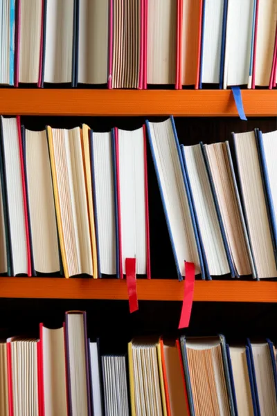 Illustration shelved - Image 1