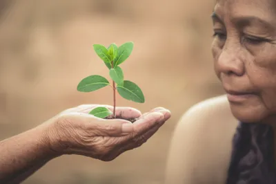 Illustration caring - Image 1