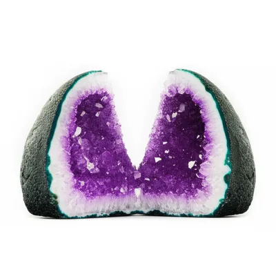 Illustration scission - Image 1