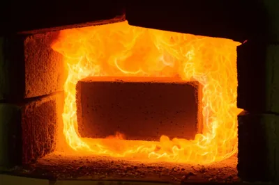 Illustration firebrick - Image 1