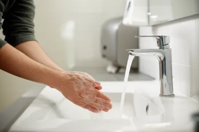 Illustration lavatories - Image 1