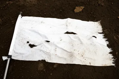 Illustration dishonoured - Image 1