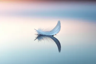 Illustration station - Image 1