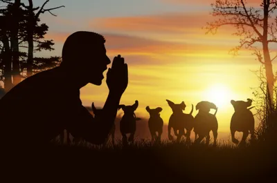 Illustration hallowed - Image 1